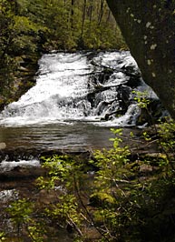 Indian Creek Falls - Deep Creek Trail