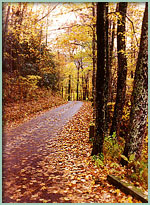 Rich Mountain Road in the fall