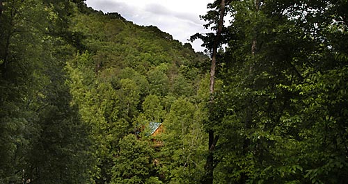 Kathy's Cabin, secluded in the woods