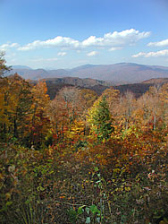 Fall colors in the smokies - Images by GLB photo