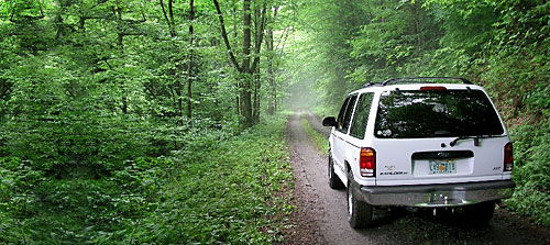 Forest Service road